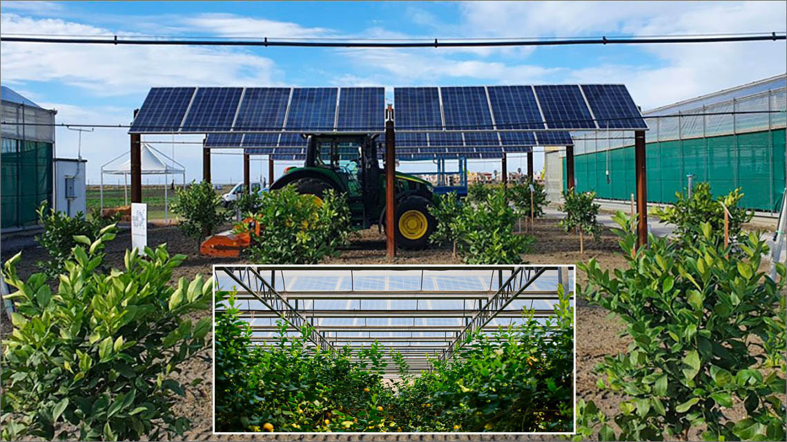 Agrivoltaic system