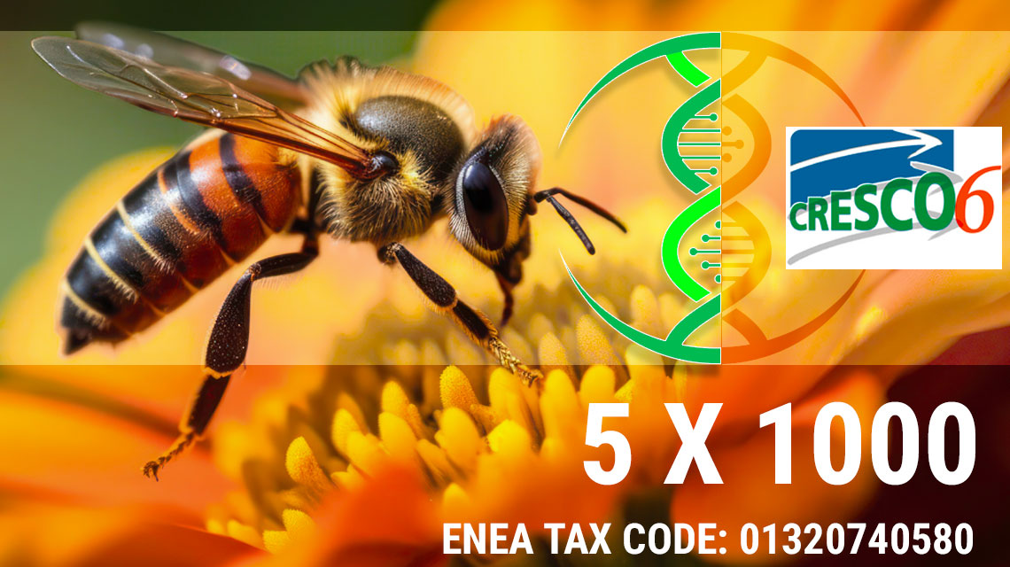 protect the bees with 5x1000
