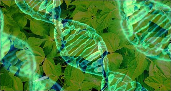 vaccini genetici