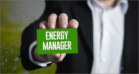 ricerca energy manager