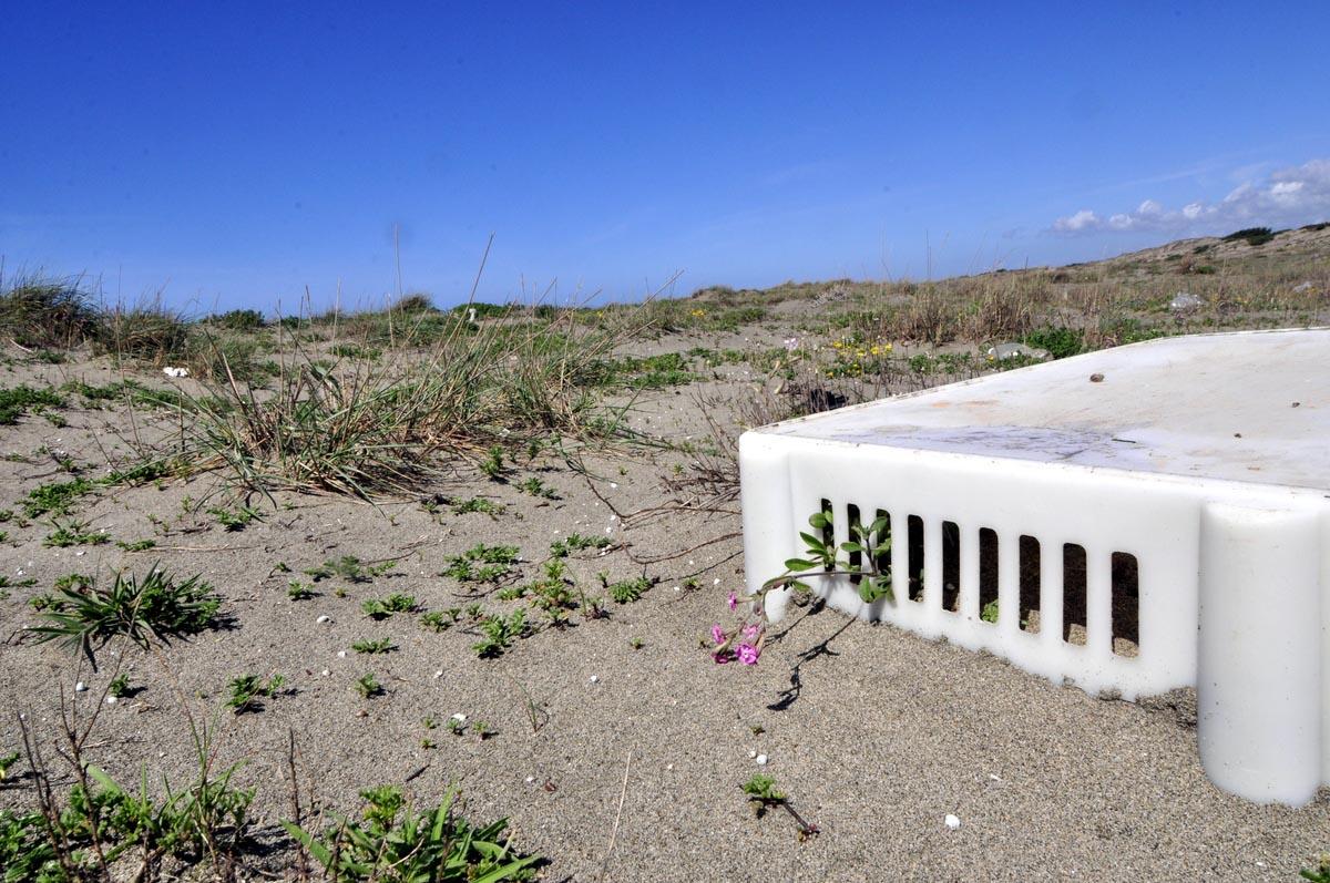 plastica ritrovata sulla spiaggia