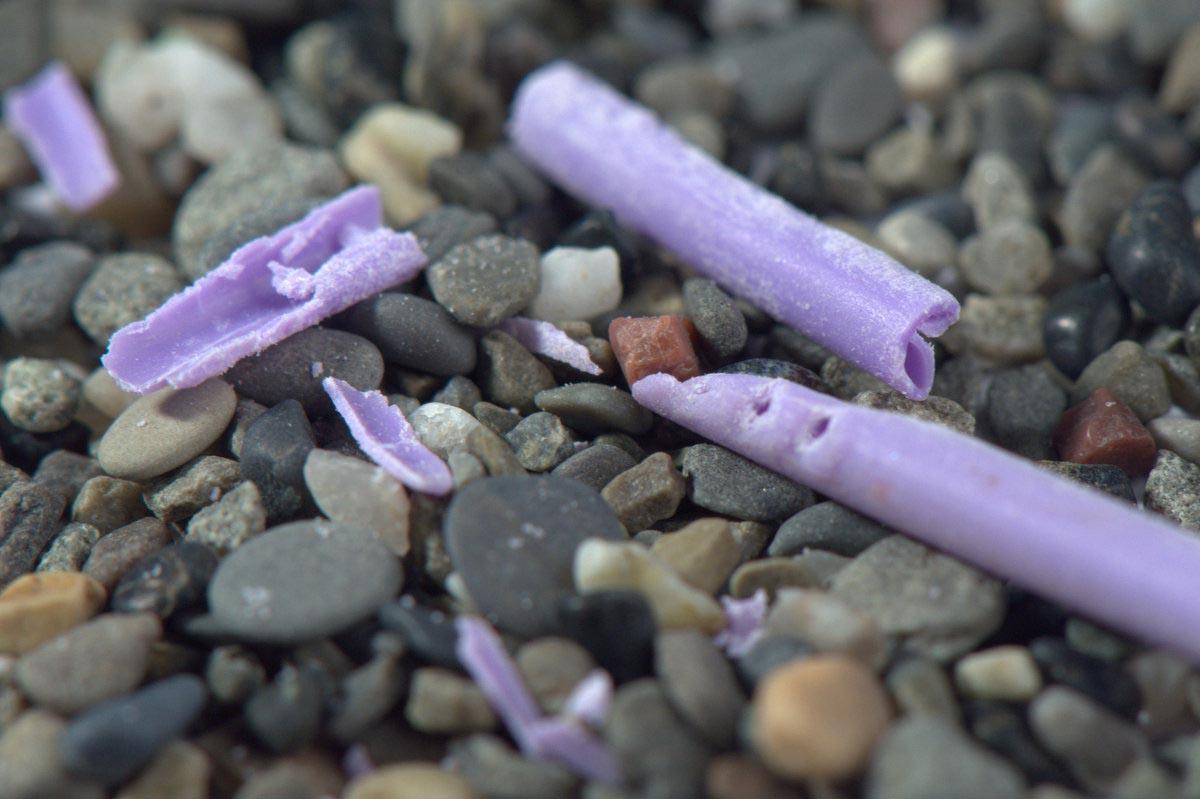 plastica ritrovata sulla spiaggia