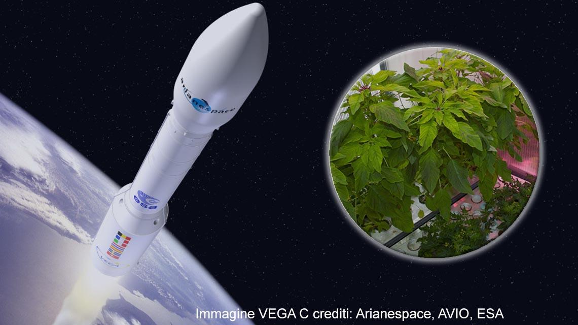 Green Cube Vega C - Crediti: Arianespace, AVIO, ESA