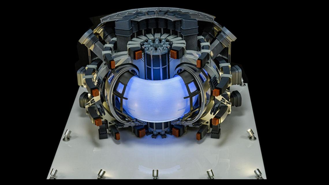 Simulazione 3D del Divertor Tokamak test