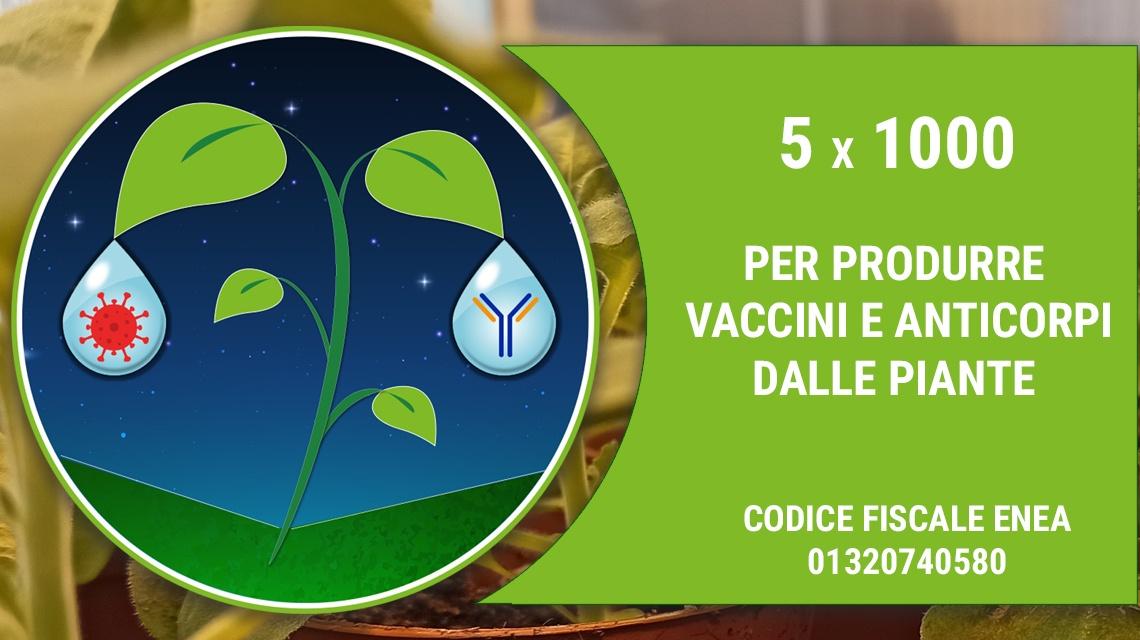 banner 5x1000 produzione vaccini da piante