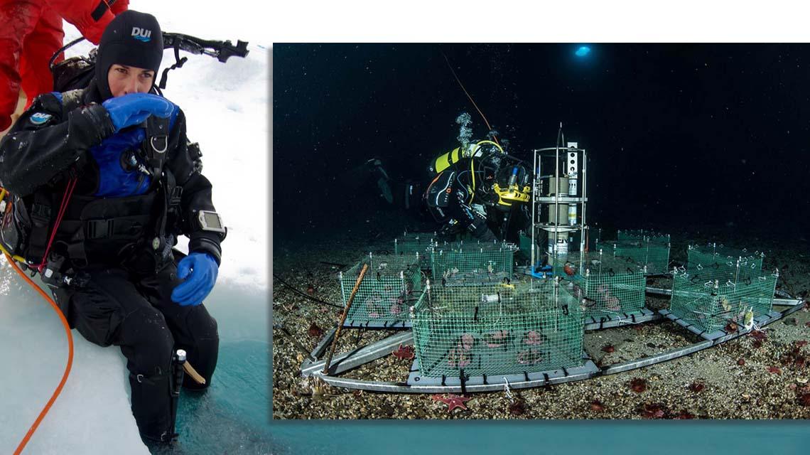 Antartide laboratorio sottomarino del Mare di Ross