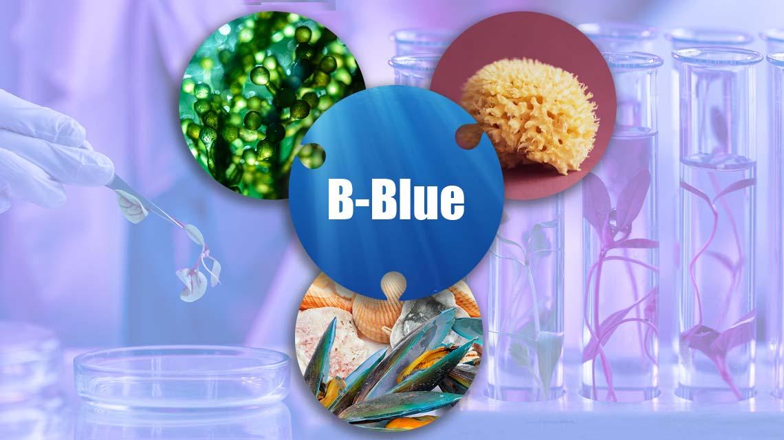 brogetto B-BLUE hub per tecnologie blu