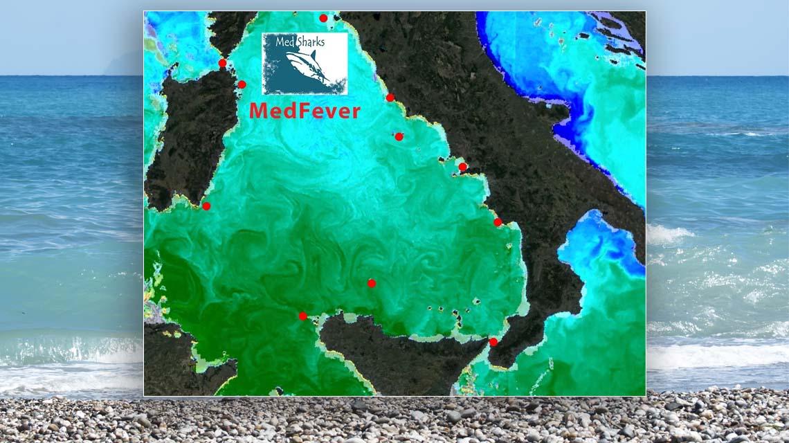 MedFever sensori-termometro sottomarini