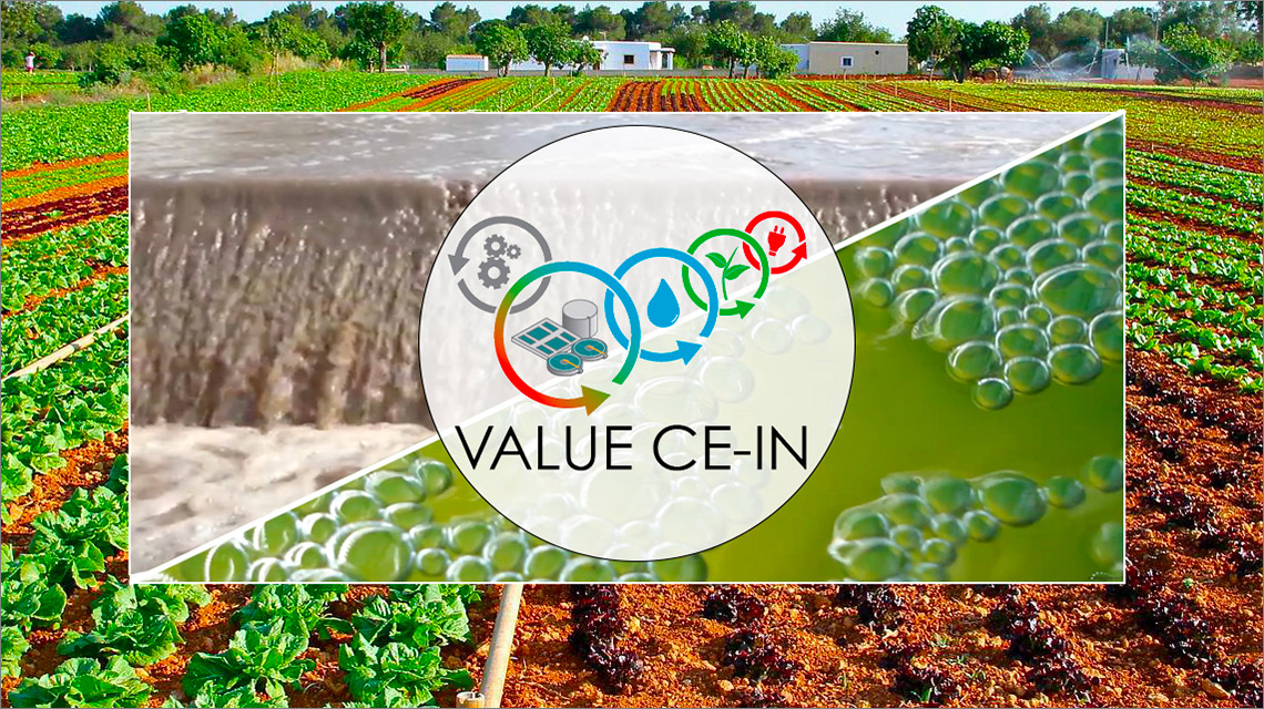 progetto Value CE IN