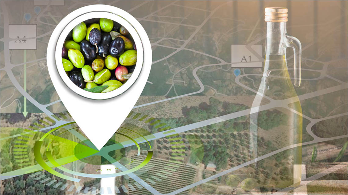 olive mapping