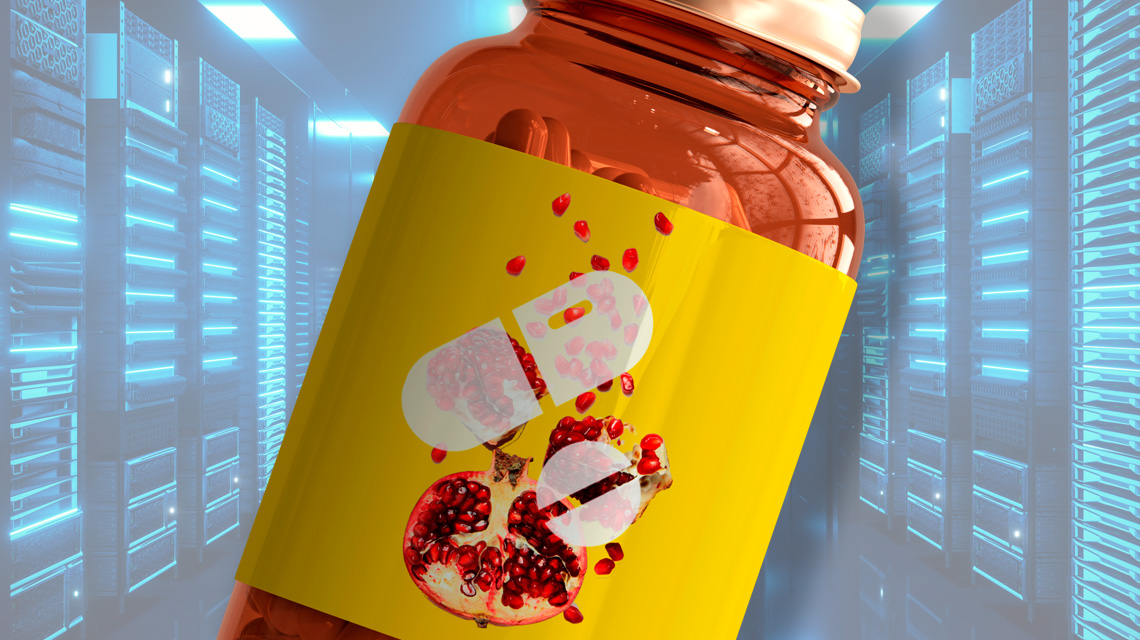 pills from pomegranate waste