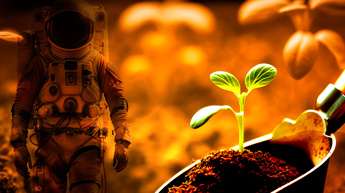 astronaut and plant growing on mars