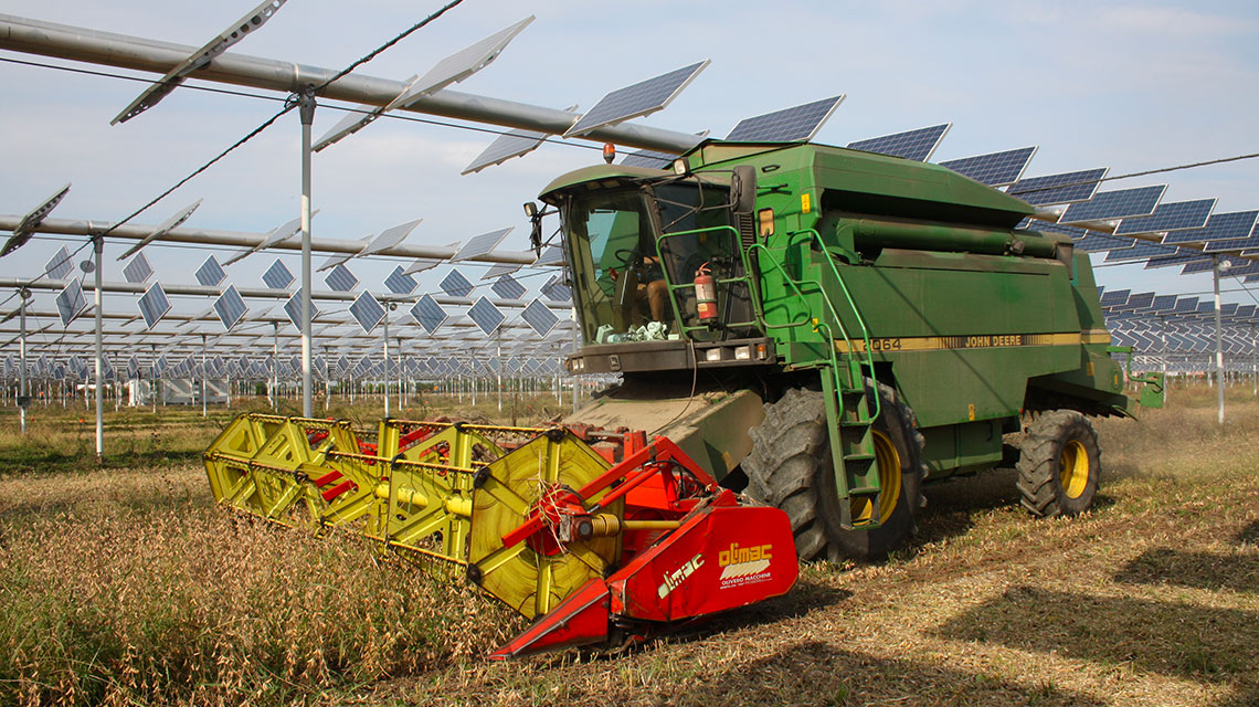 coltivazioni in campo con pannelli fotovoltaici