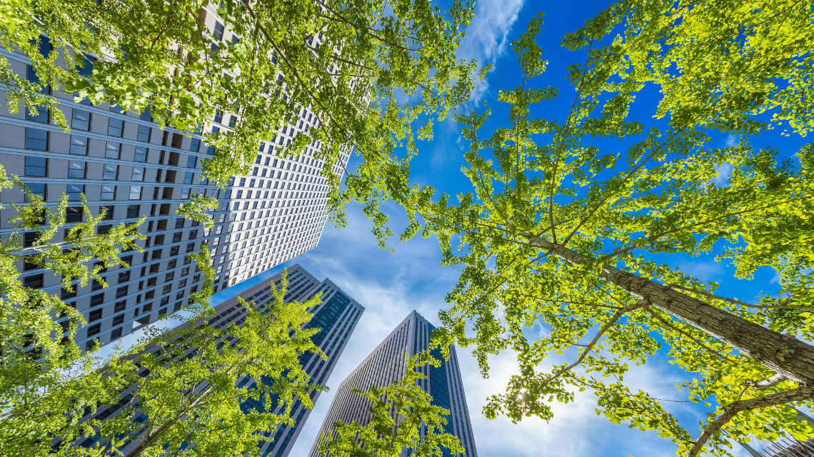 perspective of circular buildings with trees