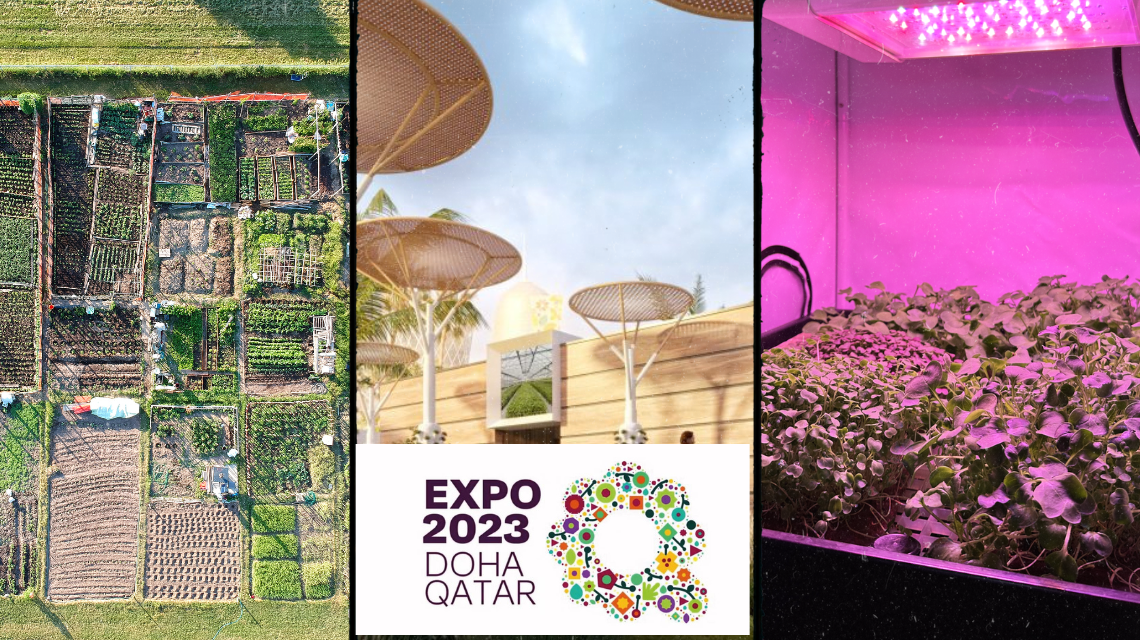 EXPO DOHA