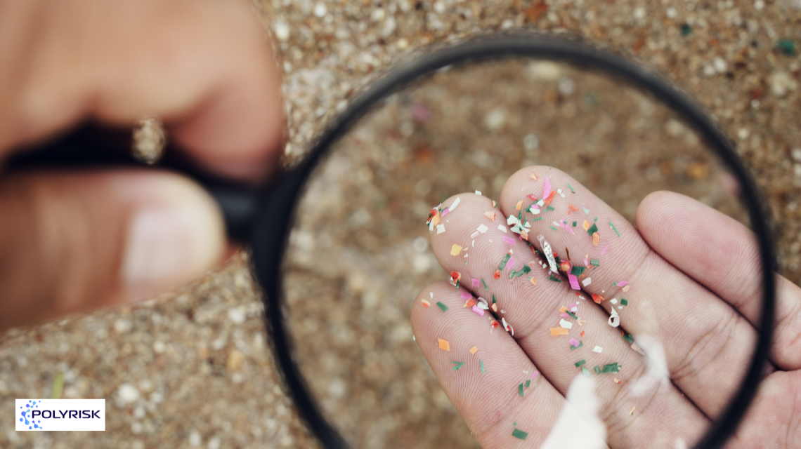 lente di ingrandimento e microplastiche