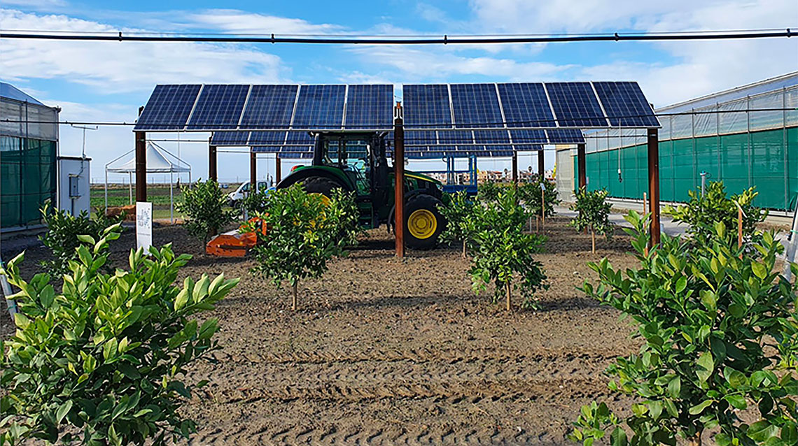 Prototipo agrivoltaico  in pieno campo di EF Solare nell'azienda LeGreenhouse  a Scalea con coltivazione di agrumi con trattore  in movimento sotto i pannelli.