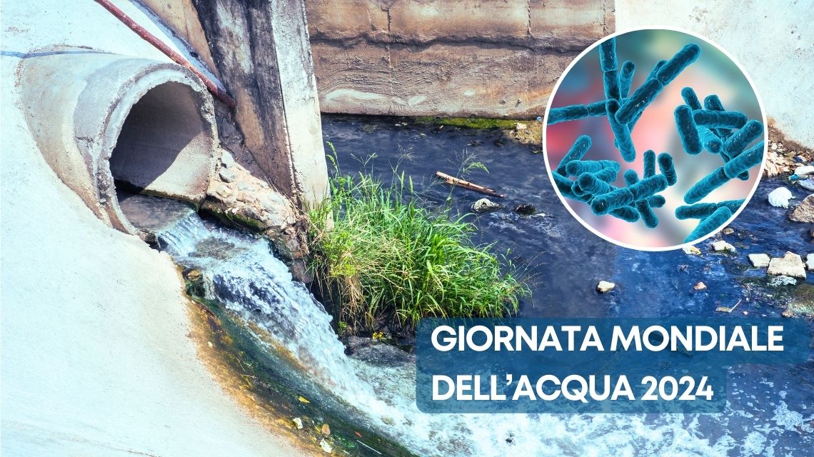 acque reflue giornata mondiale dell'acqua