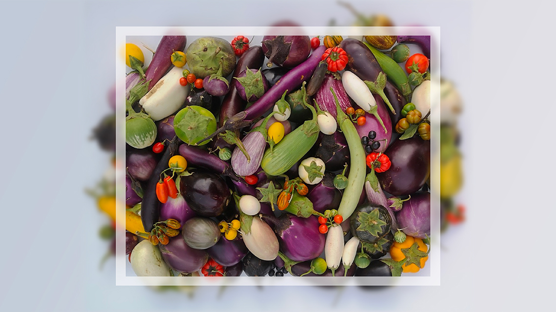 vari tipi di melanzane