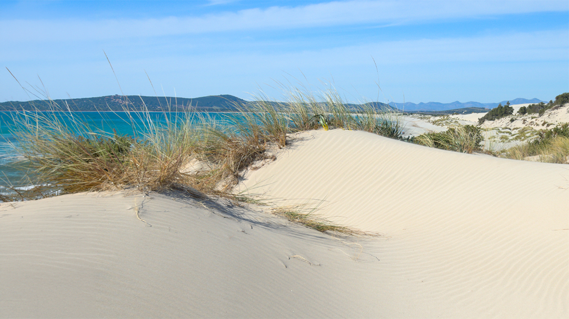 dune e spiagge