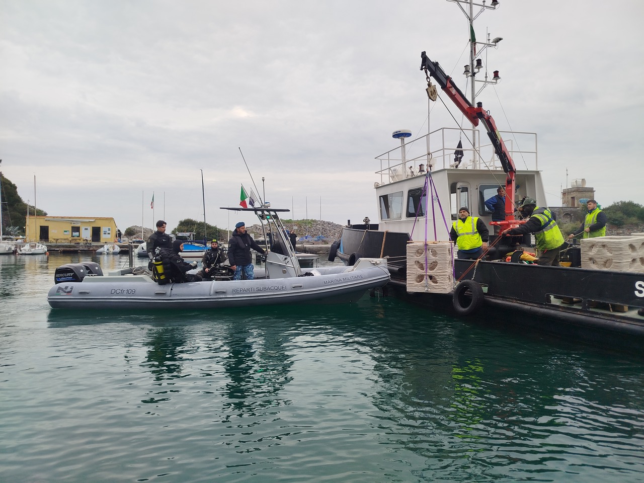 operazioni di posizionamento bio-reef