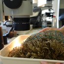 Laboratorio di ricerca