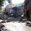 Destructive effects of a fast debris flow