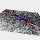 Biofilm su microplastica