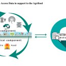 Schema METROFOOD-IT