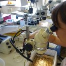 Laboratorio di ricerca