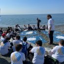 Beach cleaning