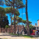Piazza Venezia Roma