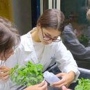 Students of the Enrico Medi Industrial Technical Institute