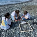 Beachcombing